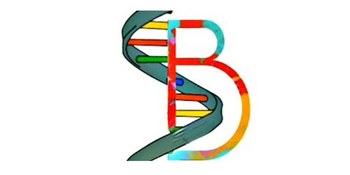 dental-c-logo-13